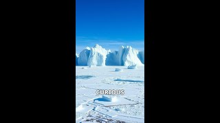 Unveiling Antarcticas Hidden Secrets shorts facts curiousfacts nature [upl. by Nillad]