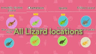 All Lizards Locations real time  Play Together Lizard Hunt [upl. by Holleran71]