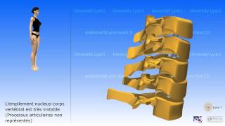 La colonne cervicale [upl. by Egrog384]