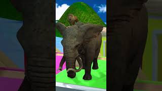 5 Giant Duck Cartoon Tiger Cow elephant Gorilla dinosaur Dog Cat Wild Animals Crossing Fountain [upl. by Jola]