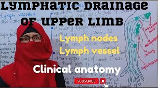 Lymphatic drainage of upper limb  clinical anatomy lymph nodesand vessel ayesha medical education [upl. by Theone]