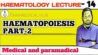 LECTURE 14 HAEMATOPOIESIS PART2SITE OF HAEMOPOIESIS YOLK SAC BONE MARROWLIVER AND SPLEEN [upl. by Terzas]