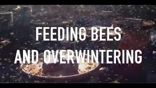 Feeding Bees and Overwintering [upl. by Laen525]