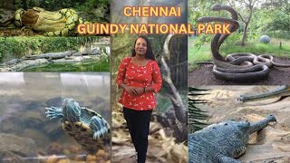 Indias first Reptile park  Chennai snake park 🐍😊  తెలుగులో [upl. by Adnah255]