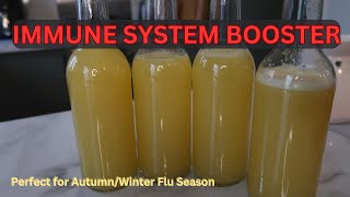 Immune System Booster [upl. by Nairdad]