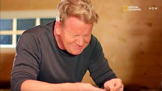 Se Gordon Ramsay teste rakfisk på Røros [upl. by Winwaloe]