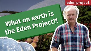 The Eden Project A Sustainable Paradise in the Heart of Cornwall [upl. by Eenttirb]