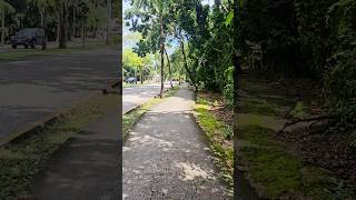 Walking in Playacar Playa del Carmen Mexico tropical Caribbean jungle city life travel explore [upl. by Fatsug]