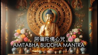 阿彌陀佛心咒 OM AMIDEVA HRIH AMITABHA BUDDHA MANTRA 消除灾祸瘟疫往生极乐世界 Purify negative karma past actions [upl. by Elleinnod811]