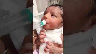 Feeding reflex so sweet 👌🥰cutebaby nicubaby childbirth tranding [upl. by Anikat]