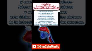 RUBÉOLA – SARAMPIÓN DE TRES DÍAS  OneCuteMedic [upl. by Ludie]