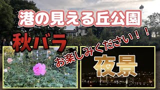 港の見える丘公園 秋バラ＆夜景 お楽しみください！！ [upl. by Annek569]