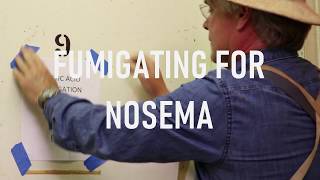 Fumigating for Nosema [upl. by Marilla]