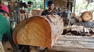 Kayu Medang [upl. by Brnaby]