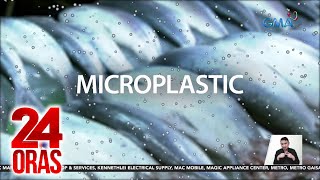 60 ng mga sinuring bangus ng DOST mula Mindanao nakitaan ng microplastic  24 Oras [upl. by Qooraf]