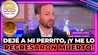 ¿Cómo REACCIONAR si te entregan a tu mascota MALTRATADA o MUERT4 en la guardería  Sale el Sol [upl. by Meng]