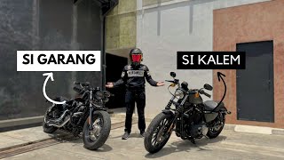 SPORTSTER 48 vs SPORTSTER IRON 883 Mana yang Cocok untukmu [upl. by Acinehs]