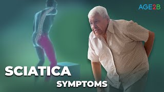 Sciatica Symptoms [upl. by Leitnahs533]