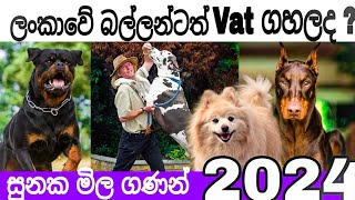 Sri Lankan Dog price 2024  සුනක මිල ගණන් 2024 New Dog price in Sri Lanka dog dogprice [upl. by Carissa]