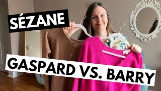 Sézane Gaspard Cardigan vs Berry Jumper  Comparison and Sizing 2024 [upl. by Sorel]