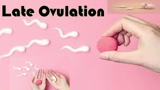 Late Ovulation  Causes Treatment and Effects on Fertility [upl. by Yvel456]