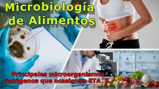 Microbiología de los alimentos y principales microorganismos patógenos que ocasionan ETA´S [upl. by Thurmann521]