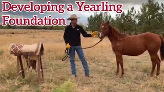 Developing a Foundation with a Yearling Horse  Justin Hatfield [upl. by Naliorf]