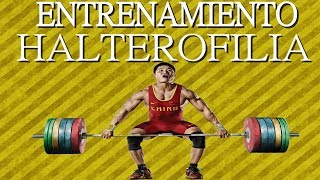 ENTRENAMIENTO HALTEROFILIA COMPLETO  AESTHETIC CLIPS [upl. by Zerla]