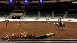 Winning ride Ranch Trail 2017 Pinto Worlds [upl. by Sutherland]