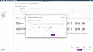 Presupuestos de venta Detalle [upl. by Severn]