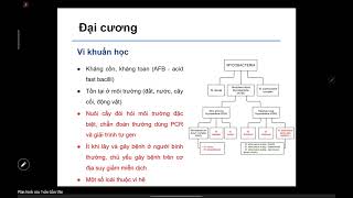 Mycobacteria không điển hình  ghẻ  SĐH  TS CẨM VÂN [upl. by Darcee460]