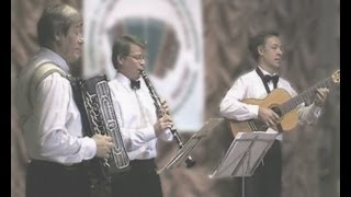 Карелофинская полька Finnish polka [upl. by Nylaf]