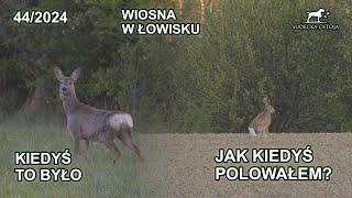 Poranne wyjście z Mariuszem  Jak kiedyś się polowało  SUDECKA OSTOJA 442024 hunting in Poland [upl. by Lyrradal783]