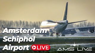 Live Arrivals at Amsterdam Schiphol Airport [upl. by Angele716]