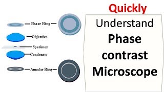 Phase contrast microscope [upl. by Nnaecarg]