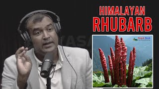 Chef Santosh on Discovering Himalayan Rhubarb on a Nepal Trek [upl. by Amabelle]