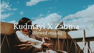 Kudmayi X Zaalima Mashup  Full Version  Instagram Trending [upl. by Anilehcim]