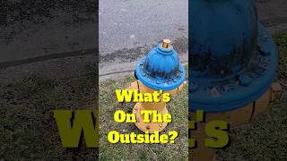 Dogs and fire hydrants Joke Time With Boomer The Dog 276  SHORT dog shorts fire [upl. by Ramsdell247]