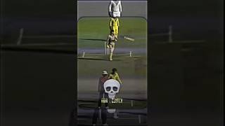 Glenn McGrath shows levels ☠️🦙 cricket cricketlover cricketshorts Australia [upl. by Eylrac]