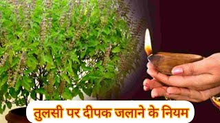 तुलसी पर दिया जलाने के नियम  tulsi mata ko deepak jalane ki vidhi  tulsi ko deepak kaise jalaye [upl. by Fulbright]