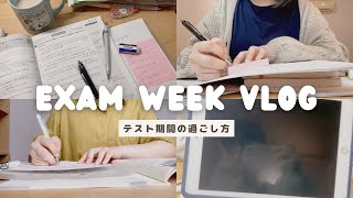 【vlog】テスト期間の過ごし方徹夜した夜🌙 [upl. by Lock]