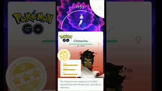 I Caught Chimecho CP 953 in Pokemon GO Indonesia Shorts [upl. by Iv24]