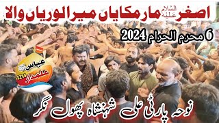 Asgar Mar Mukaya Mera loriyan Wala Noha party Baba Wajid Ali Phool Nagar 06 Muharam 2024 [upl. by Victorie]