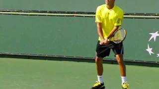 JoWilfried Tsonga  Backhands in Slow Motion [upl. by Mccormac964]