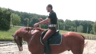 Equitazione Classica Dressage  Francesco Vedani  La messa in mano [upl. by Urata]