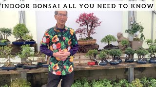 Indoor Bonsai All You Need To Know [upl. by Job]