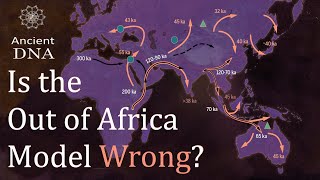 Is the Out of Africa Model Wrong [upl. by Abla278]