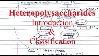 22 Heteropolysaccharides Heteroglycans Intro amp Classification [upl. by Suzie]