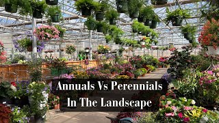 Annuals Vs Perennials In The Landscape [upl. by Hepzi430]