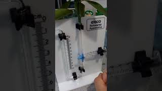 POTOMETER TRANSPIRATION TROUBLESHOOT [upl. by Jaymie507]